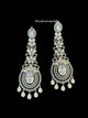 Stunning Crystal Drop Earrings with Intricate Floral Design